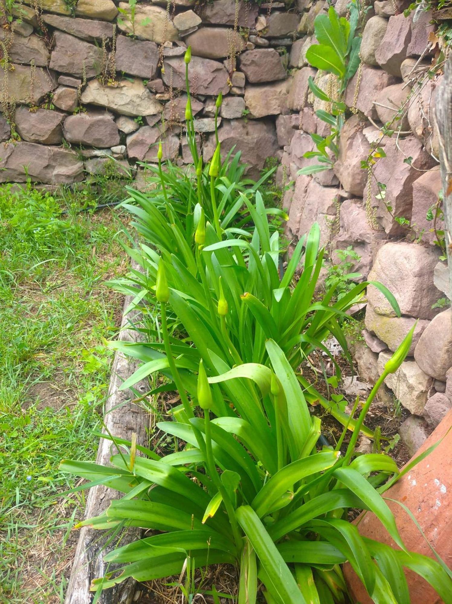 Venta De Arrieta Saragueta Exterior foto